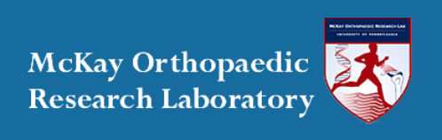 McKay Orthopaedic Research Lab